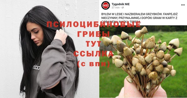 гидропоника Киреевск
